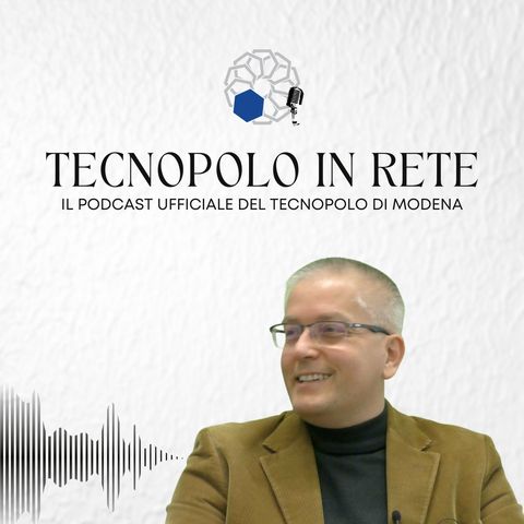 Prof Francesco Pellicano | INTERMECH MO.RE | Tecnopolo in Rete