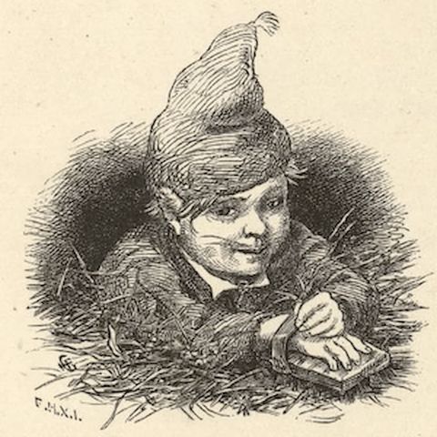 The Gnomes