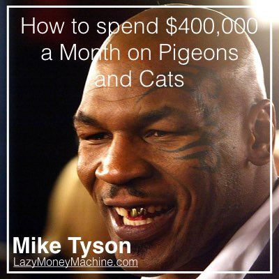 29: How to spend $400.000 per month on Pigeons and Cats