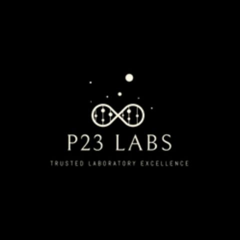 Clinical Laboratory Testing: Unlocking Insights with P23 Labs Inc