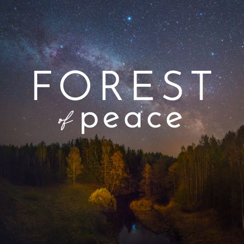 Forest of Peace
