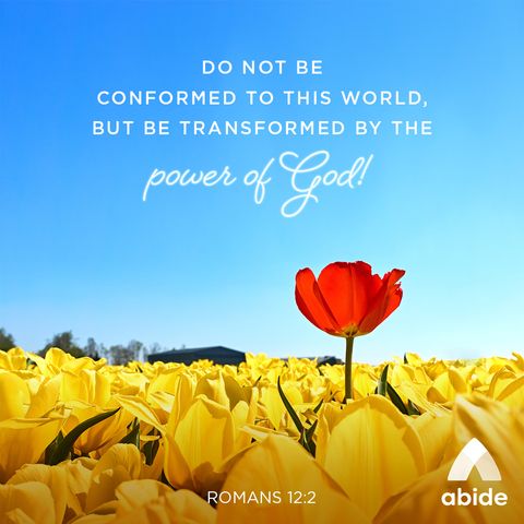 How to Be Transformed