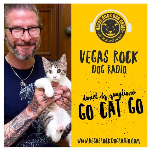 Cats Live In The Meow, Interview With Daniel 'DQ' Quagliozzi of Go Cat Go.
