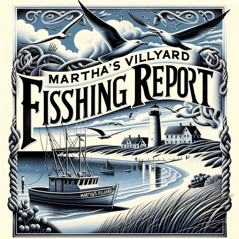 "Fishing Frenzy Around Martha's Vineyard: Striped Bass, Bluefish, and More in This Year's Derby"