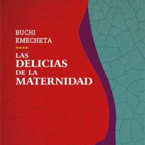 Las delicias de la maternidad - Buchi Emecheta