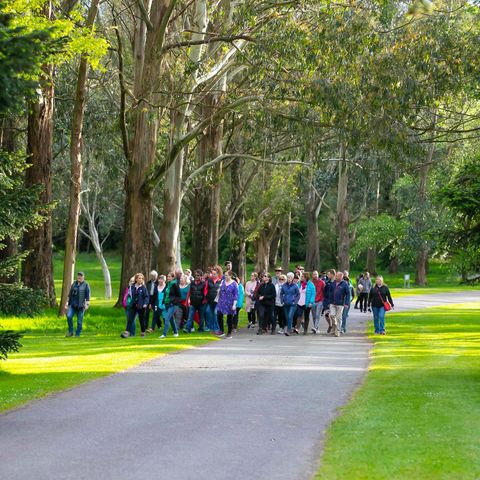 JFK arboretum