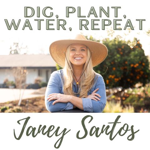 Introducing: Dig, Plant, Water, Repeat (Starts Monday)