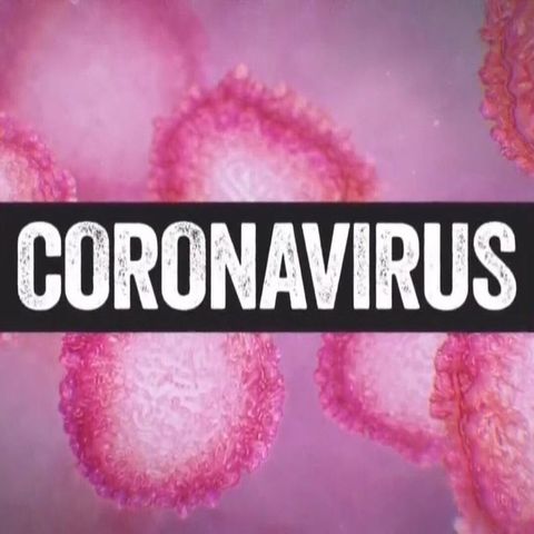 El virus más contagioso, "la Corona de los Milagros": el AMOR