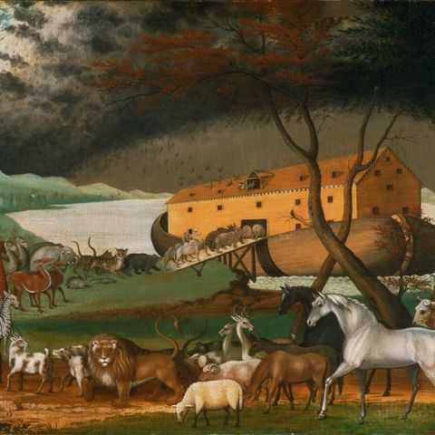 Che cosa significano il diluvio e l'arca? (Gen 6)