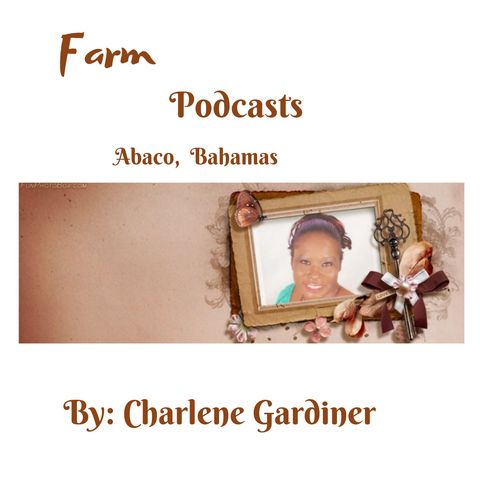 THE FARMSTAND PODCAST