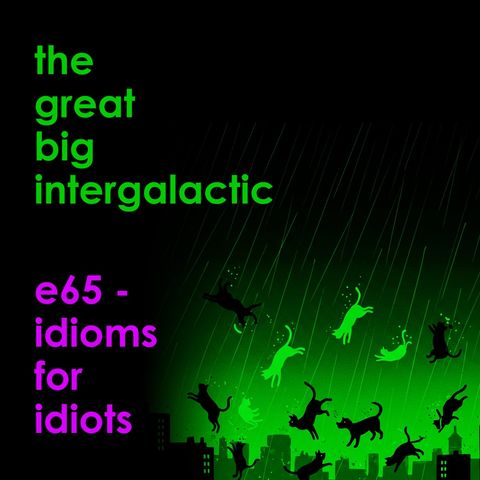 E65 - Idioms for Idiots