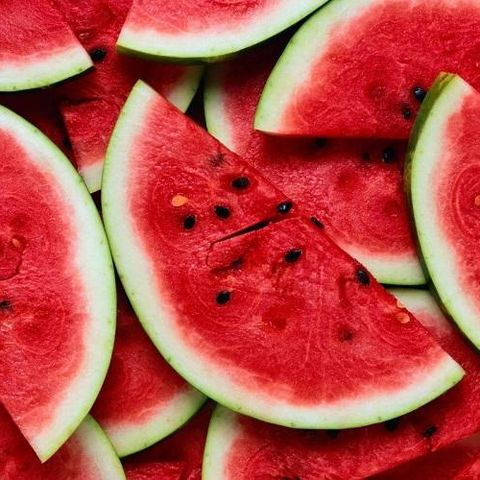 National Watermelon Day with Dr Larry Stein - Texas A&M AgriLife Extension Service