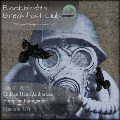Hidden Hand Authorizes European Fumigation - Blackbird9 Podcast