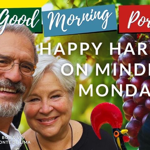 Happy Harvest on Mindful Migration Monday on Good Morning Portugal!