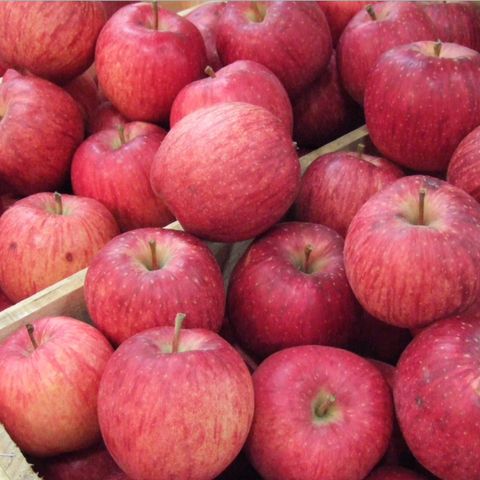 Noticias del sector: La producción europea de manzanas se situará un 10% por encima que en 2020