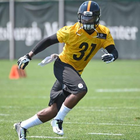 The Steel Crew Podcast Episode 18: Interview w/ former Steelers safety Gerod Holliman