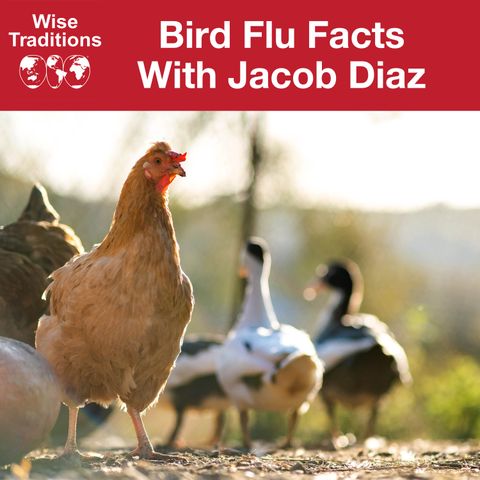 490: Bird Flu Facts