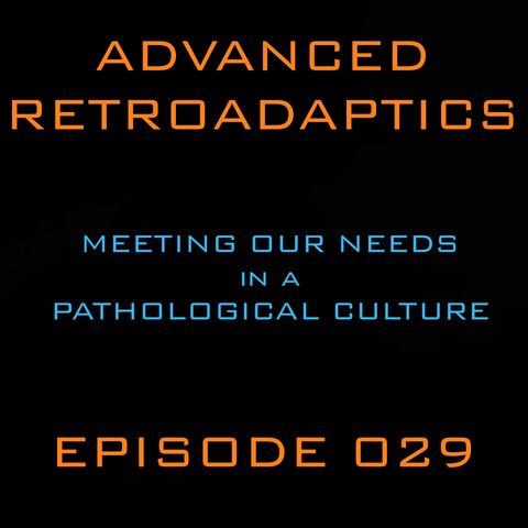 Meeting our Needs in a Pathological Culture episode 029
