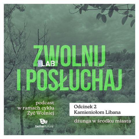 Zwolnij i posłuchaj #2: Subtelność kumaczej symfonii. Kamieniołom Libana w Krakowie