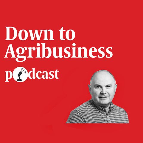 Ep 558: Down to Agribusiness - Ornua returns more to farmers as Brexit crowds grow