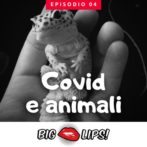 Animali e Covid-19: esiste un rischio reale che giustifichi nuove restrizioni? [Big Lips Production]