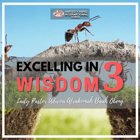 Excelling in Wisdom - Part 3