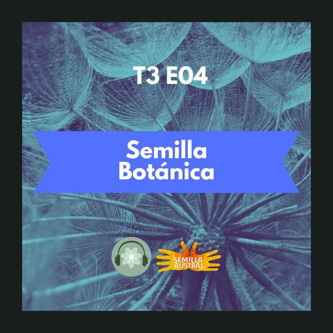 T3E04 - Semilla Botánica