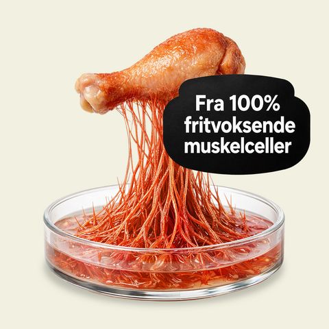 Kød uden krop