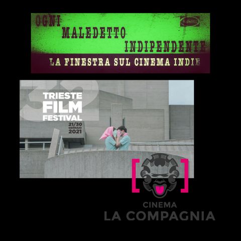 #12 Ogni Maledetto Indipendente - La finestra sul cinema indie. Trieste Film Festival