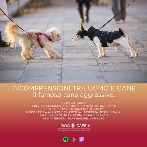 #011 - Incomprensioni tra uomo e cane, il famoso cane aggressivo