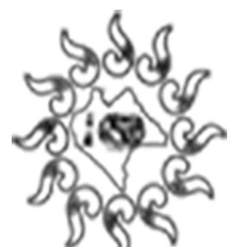 12