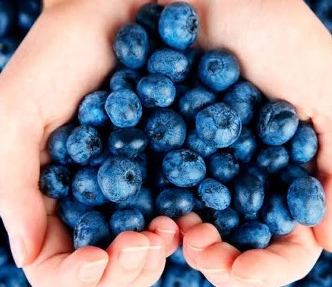Blueberries - pt. 2