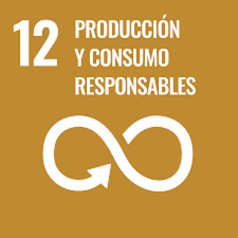 12. Producción y consumo responsable