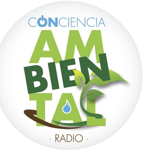 Podcast Conciencia Ambiental Riesgos Laborales por Factores Ambientales