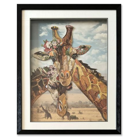 Curious mother and baby giraffe in 60