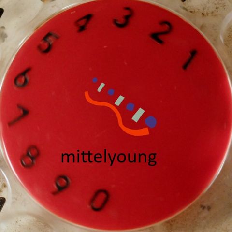 Immagine di copertina di 'Mittel YOUNG'