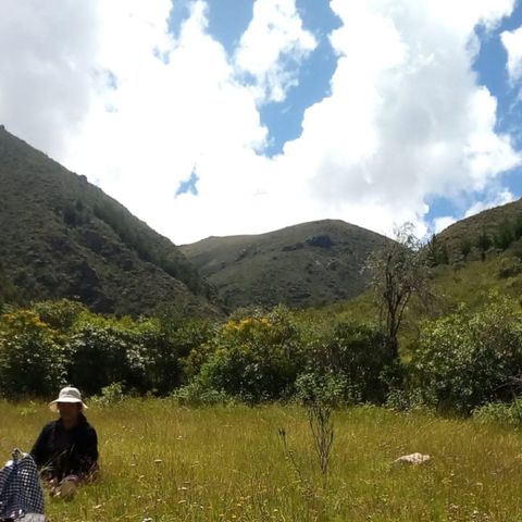 Qachwa takiy - Canto Qachwa