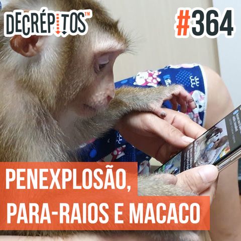 Decrépitos 364 - VACILO NEWS: Penexplosão, Para-raio de vírus e macaco
