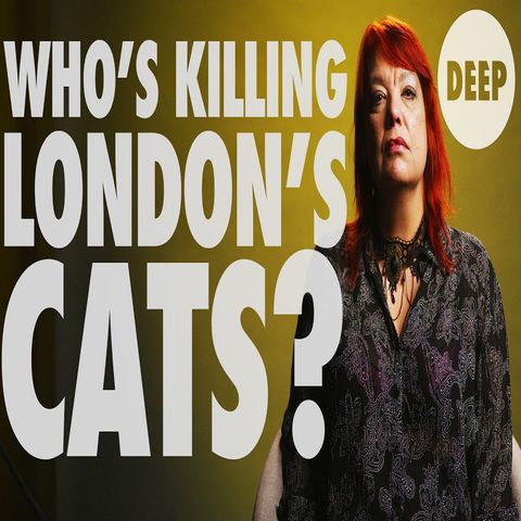 Hunting The London Cat Killer