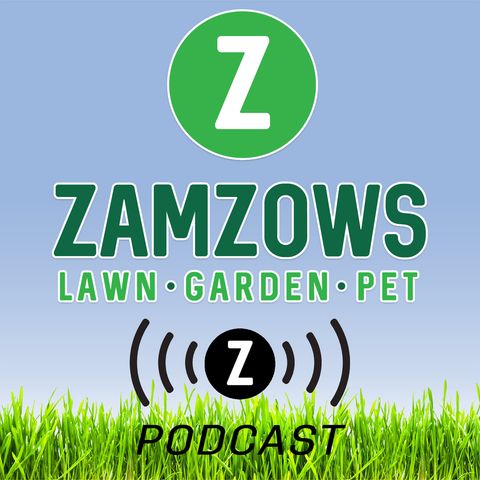 Nolan and Cory talk about heat stress in the lawn and garden; take calls about raspberries, grasshoppers, bug issues.