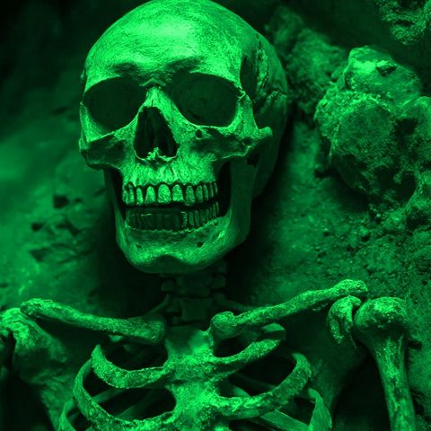 Usaban HUESOS HUMANOS Para Hacer Café Especial Historias De Terror - REDE