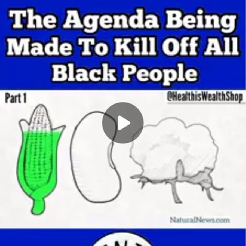 The Government Against The Black People