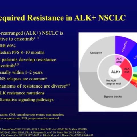 ASCO Lung Cancer Highlights, Part 10: Strategies After Resistance to Crizotinib in ALK-Positive Advanced NSCLC (video)