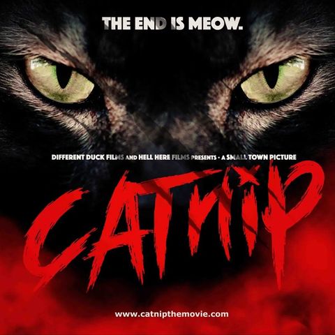 Catnip The Movie: A Discussion with the Cast and Crew!