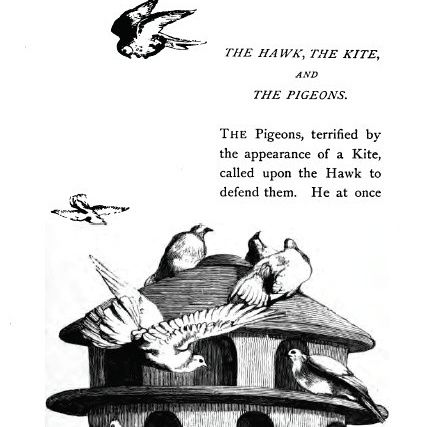 The Hawk, The Kite, and ThePigeons
