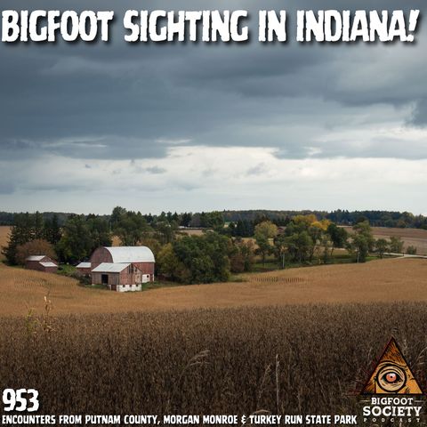 Bigfoot Sighting in Indiana: Terry’s True Encounter near Morgan Monroe & Putnam County