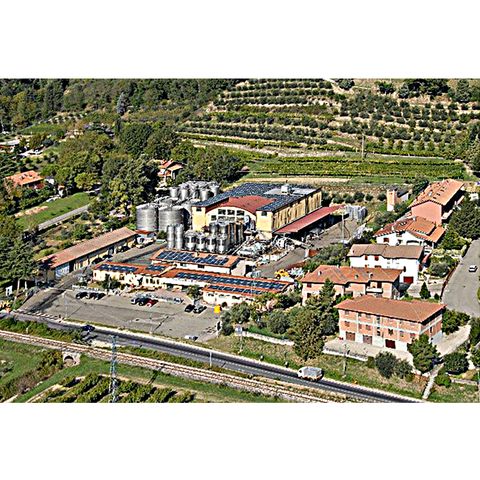 Cooperativa Agricola Terra di Brisighella (Emilia Romagna)