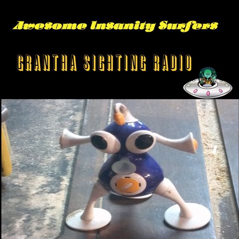 Grantha Sighting Radio