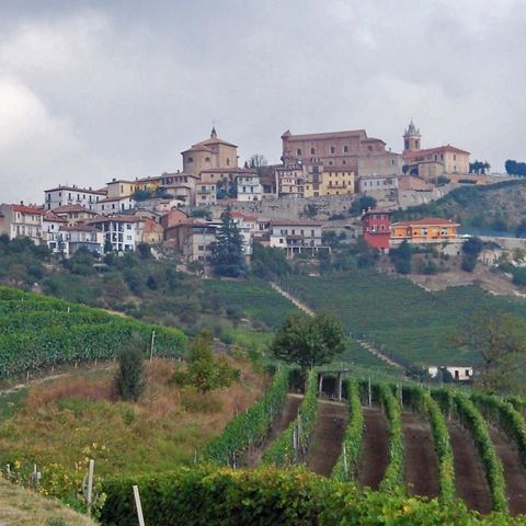 Donatella Biffignandi "Il mondo di Mariangela"