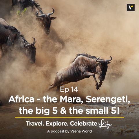 Ep 14: Africa - the Mara, Serengeti, the big 5 & the small 5!